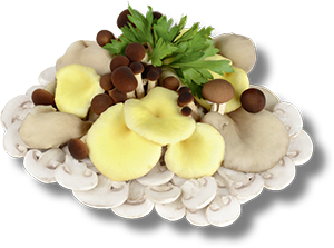 POKER DI FUNGHI TAGLIATI 