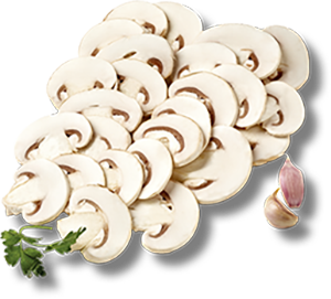 FUNGHI CHAMPIGNON A FETTE 