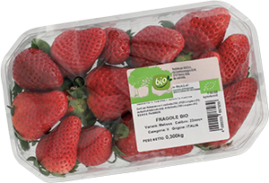 FRAGOLE BIO