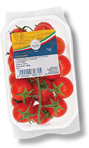 POMODORO CILIEGINO 