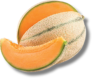 MELONE RETATO