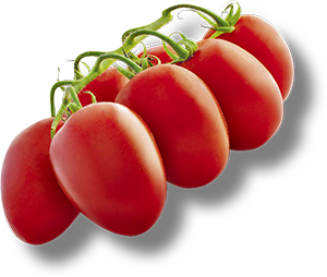 POMODORO PICCADILLY