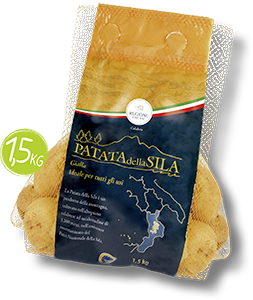 PATATE GIALLE DELLA SILA IGP 