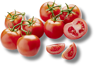 POMODORO GRAPPOLO