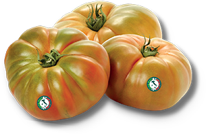 POMODORO COSTOLUTO