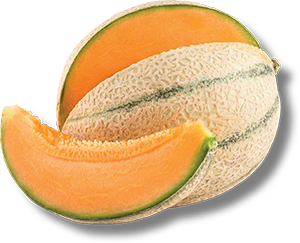 MELONE RETATO