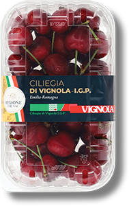 CILIEGIE DI VIGNOLA IGP 500 G