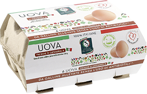  UOVA SENZA USO DI ANTIBIOTICI 