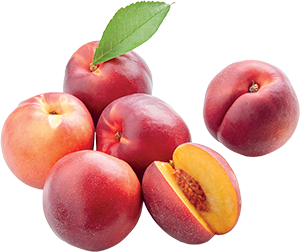 PESCHE NOCI