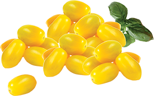 POMODORO DATTERINO GIALLO
