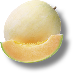 MELONE LISCIO MANTOVANO IGP