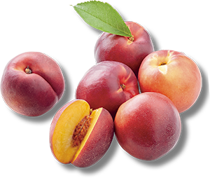  PESCHE NOCI GIALLE 