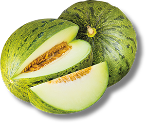 MELONE VERDE