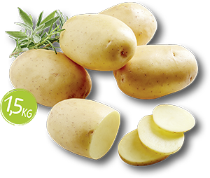 PATATE NOVELLE