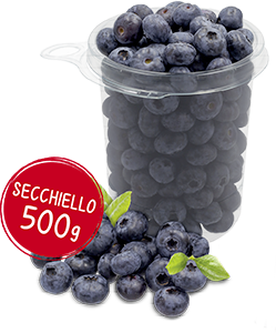 MIRTILLI