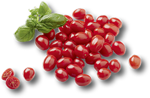 POMODORO DATTERINO 