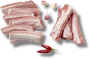 COSTINE