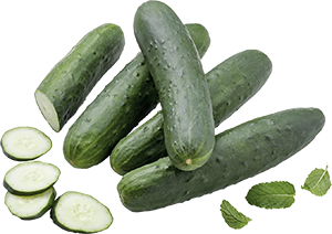 CETRIOLI