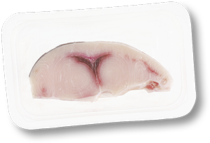 TRANCIO DI PESCE SPADA