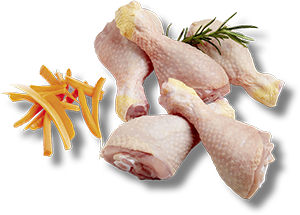  FUSI DI POLLO 