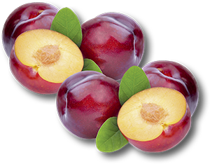 SUSINE 