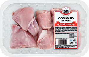 CONIGLIO IN PARTI