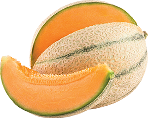 MELONE RETATO