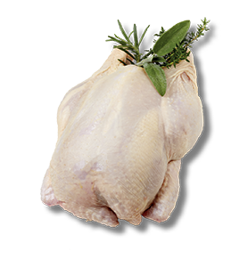 POLLO BUSTO