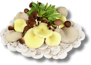 POKER DI FUNGHI TAGLIATI 