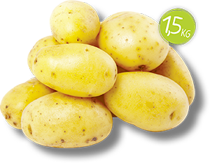 PATATE GIALLE DELLA SILA IGP