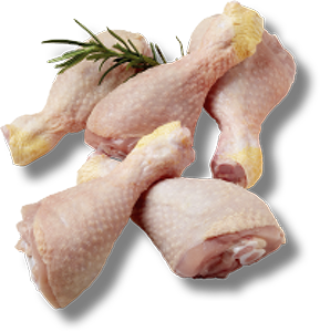  FUSI DI POLLO 