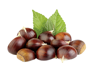  CASTAGNE