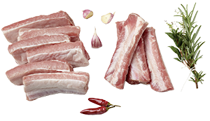 COSTINE