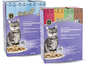 CIBO UMIDO PER GATTI 