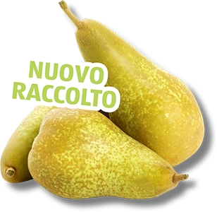 PERE ABATE