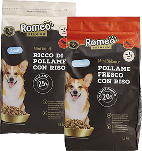 CROCCHETTE PER CANI