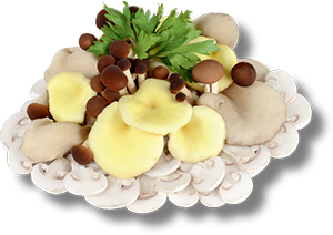 POKER DI FUNGHI TAGLIATI