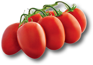 POMODORO PICCADILLY 