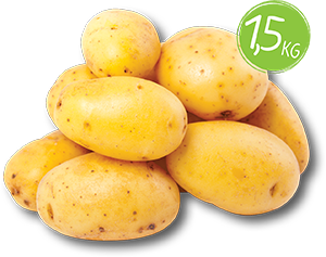 PATATE GIALLE DELLA SILA IGP 