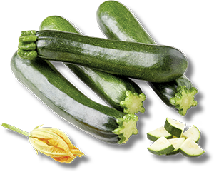 ZUCCHINE