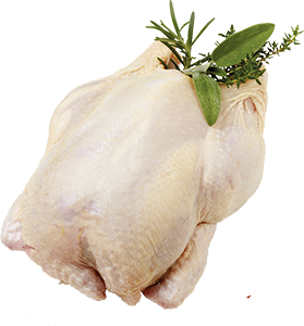 POLLO BUSTO