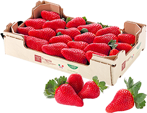 FRAGOLE SAPORI&IDEE CONAD