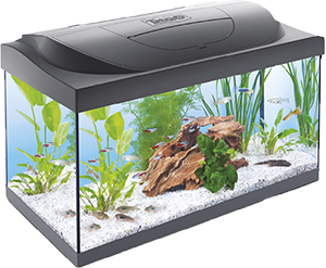 ACQUARIO TETRA STARTER