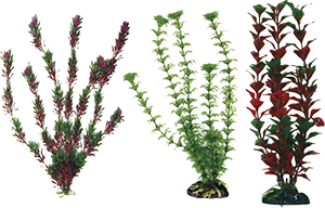AMTRA PLANT CLASSIC FLORA