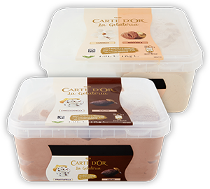 VASCHETTA GELATO CARTE D’OR 