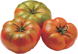 POMODORO COSTOLUTO