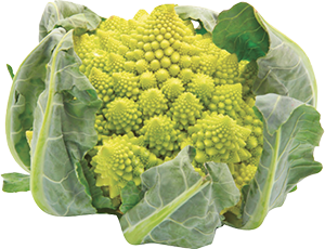 CAVOLFIORE VERDE ROMANESCO