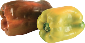 PEPERONI DOLCI GIALLI E ROSSI