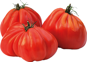 POMODORI CUORE DI BUE