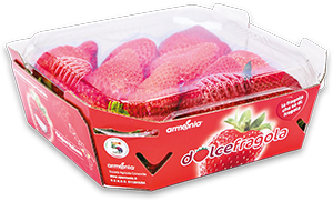 FRAGOLE MONOSTRATO